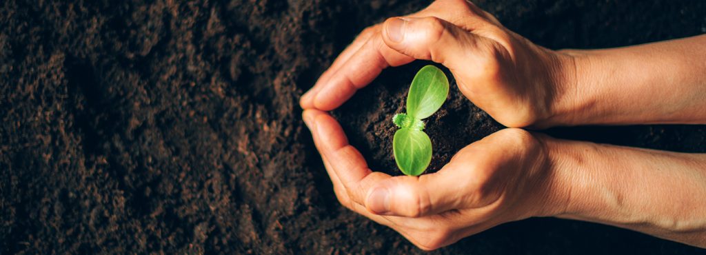 ¿Cómo un sistema de compactación de residuos puede contribuir con los ODS de la ONU?