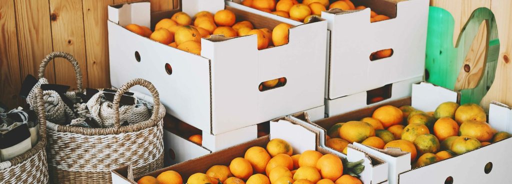 5 formas de reutilizar cartón