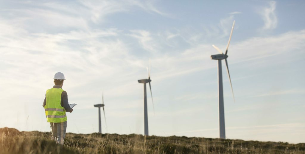 ¿Cuál es el futuro de las energías renovables? ¿Qué cantidad se producirá?