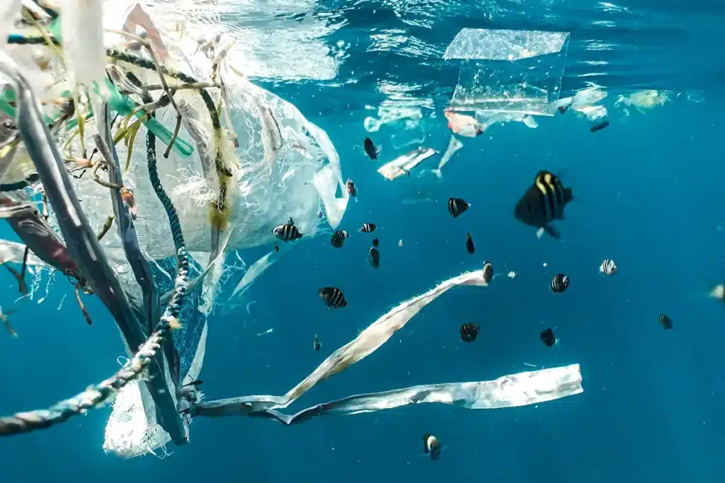 La infinita lucha contra la contaminación por plásticos: el papel de la gestión eficiente de residuos industriales