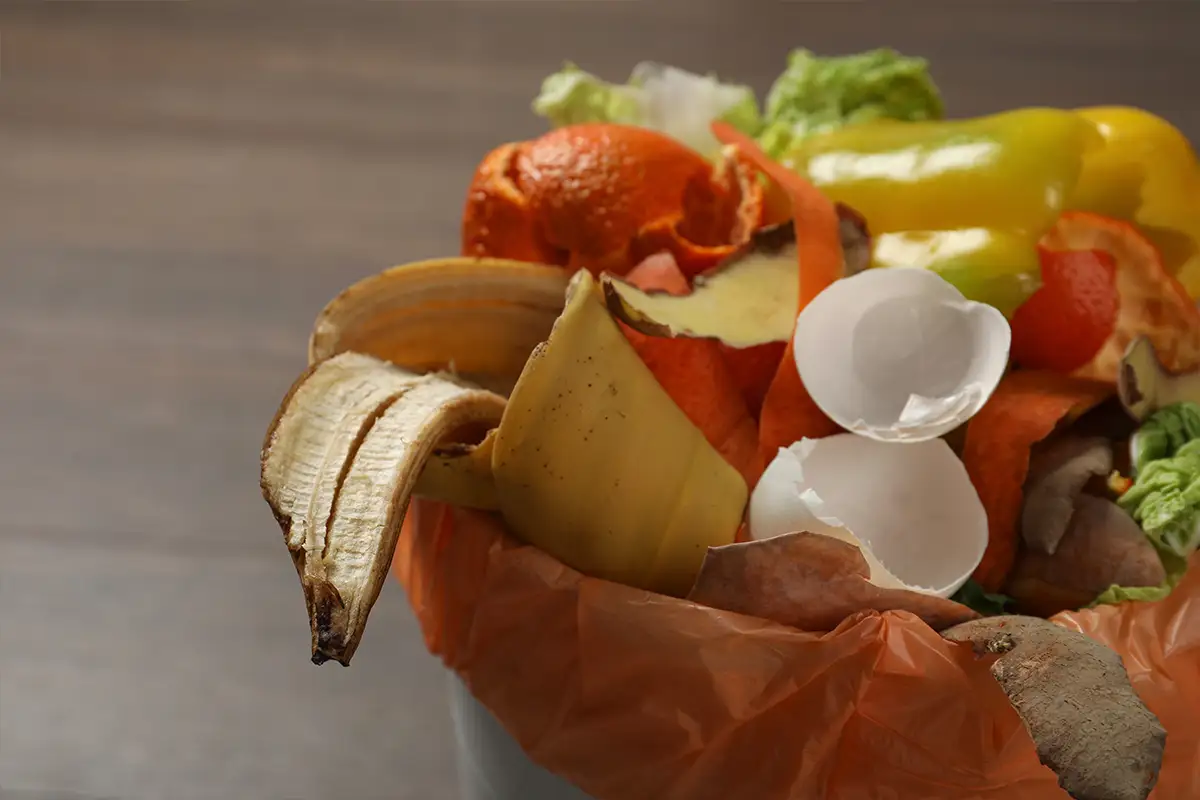 Residuos alimentación: gestión en fábricas con producción continua